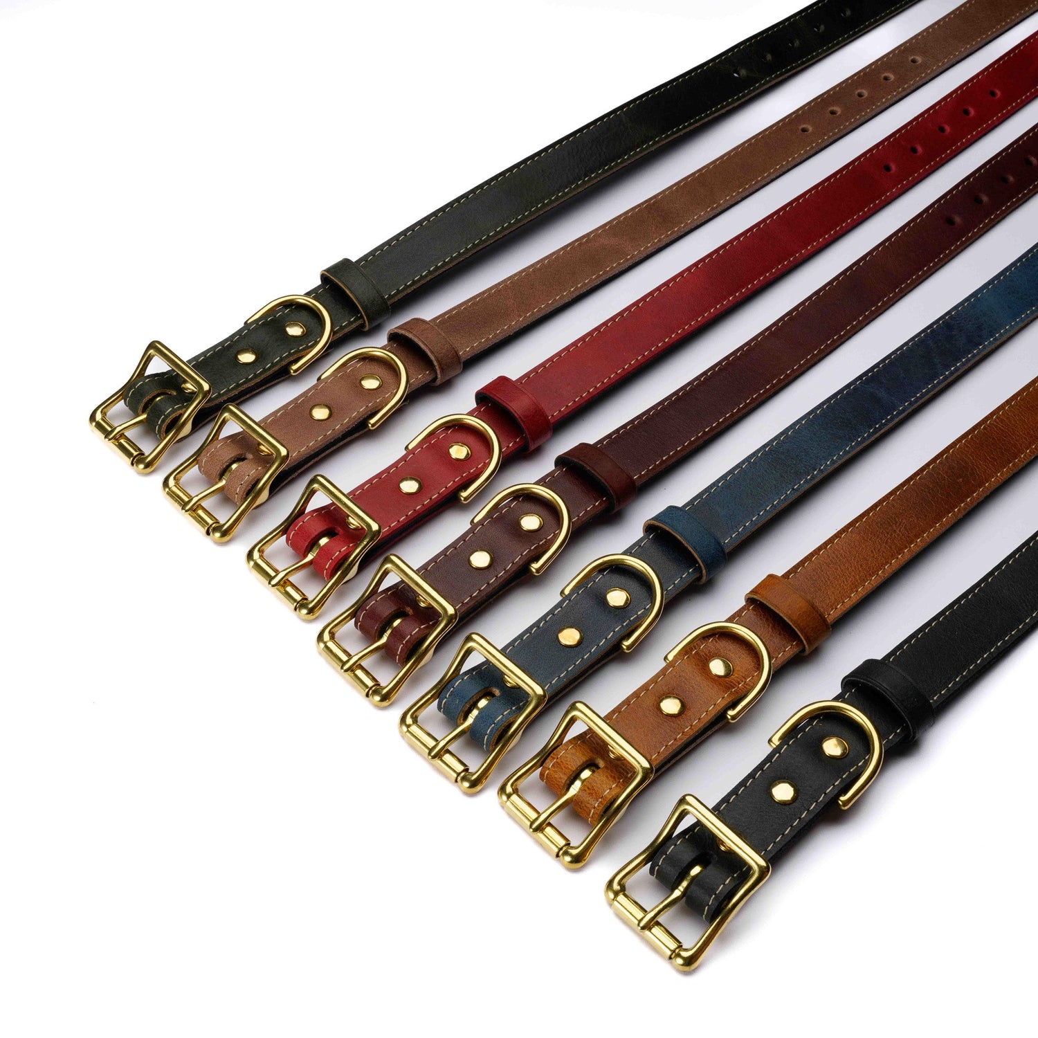 Dog Collars