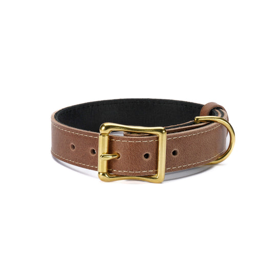 Tan Leather Dog Collar – Handmade with Solid Brass Hardware