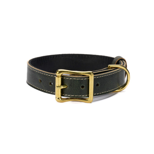 Green Leather Dog Collar – Handmade with Solid Brass Hardware