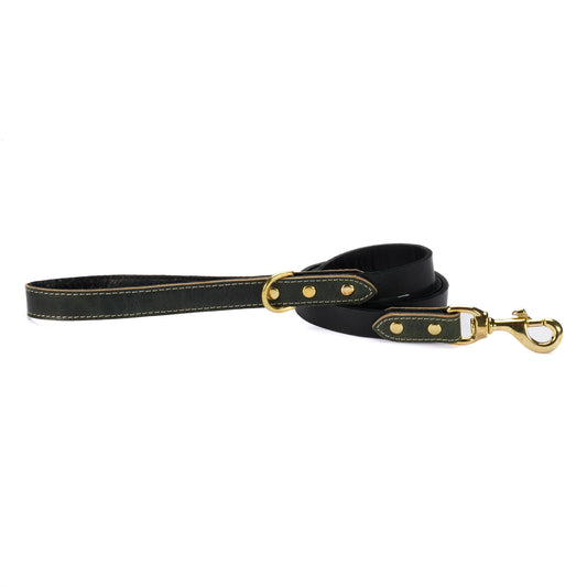Green Leather Dog Leash – Handmade with Black Lead & Brass Hardware
